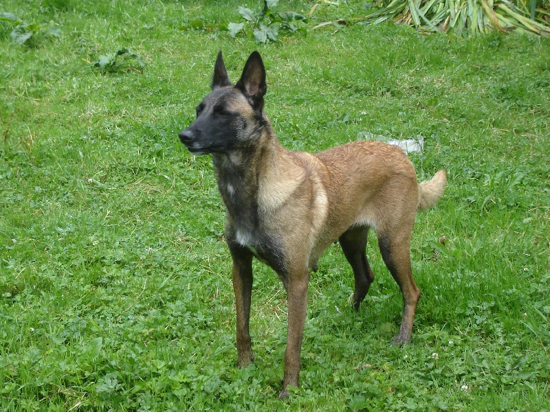 Anjie Du void de la bure